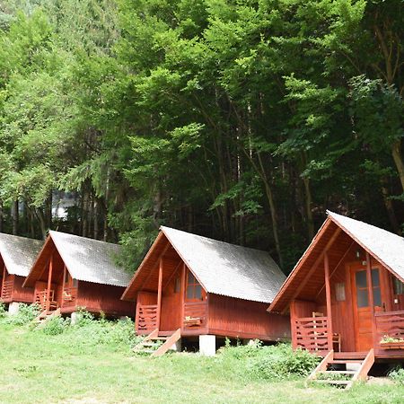 Cabanute Si Camping Dracula Capatineni-Paminteni Εξωτερικό φωτογραφία