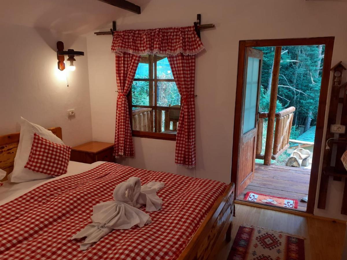Cabanute Si Camping Dracula Capatineni-Paminteni Εξωτερικό φωτογραφία