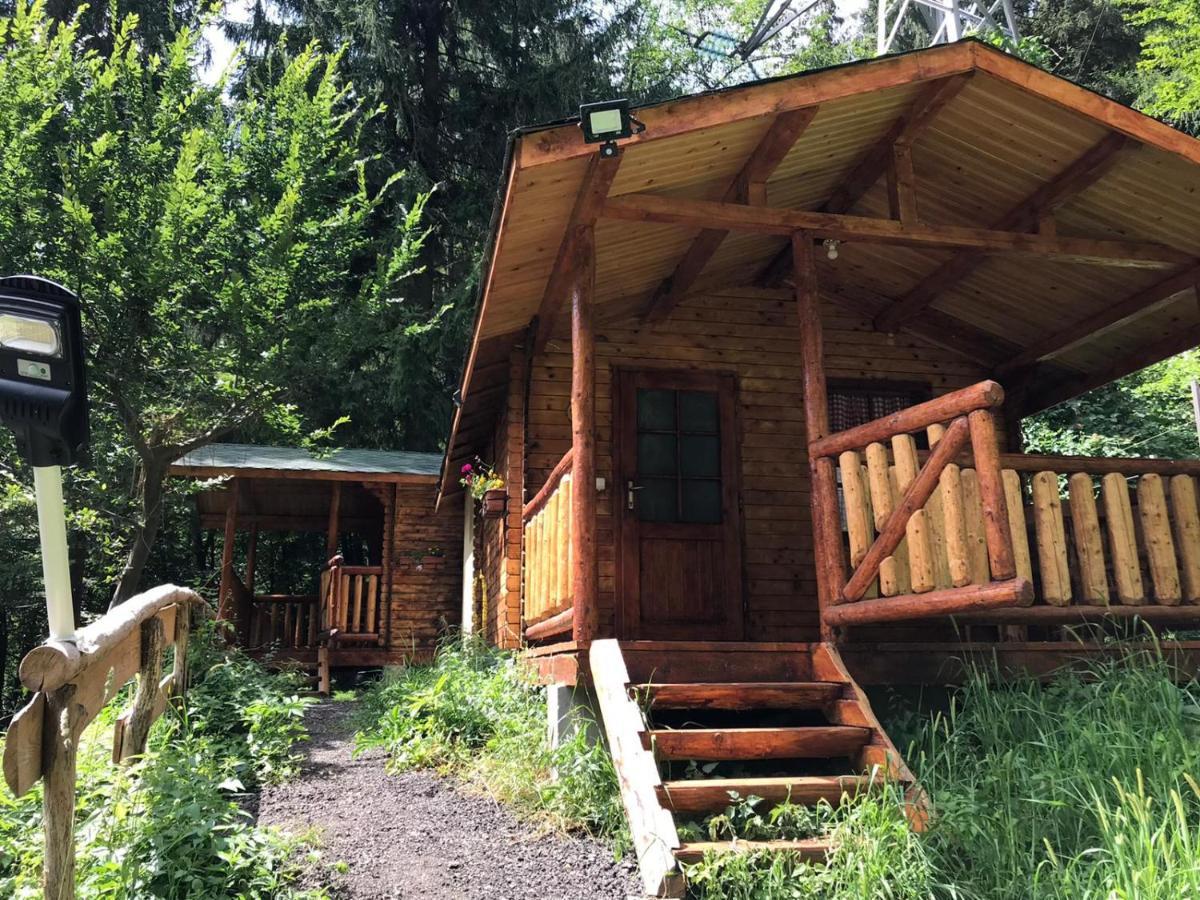 Cabanute Si Camping Dracula Capatineni-Paminteni Εξωτερικό φωτογραφία