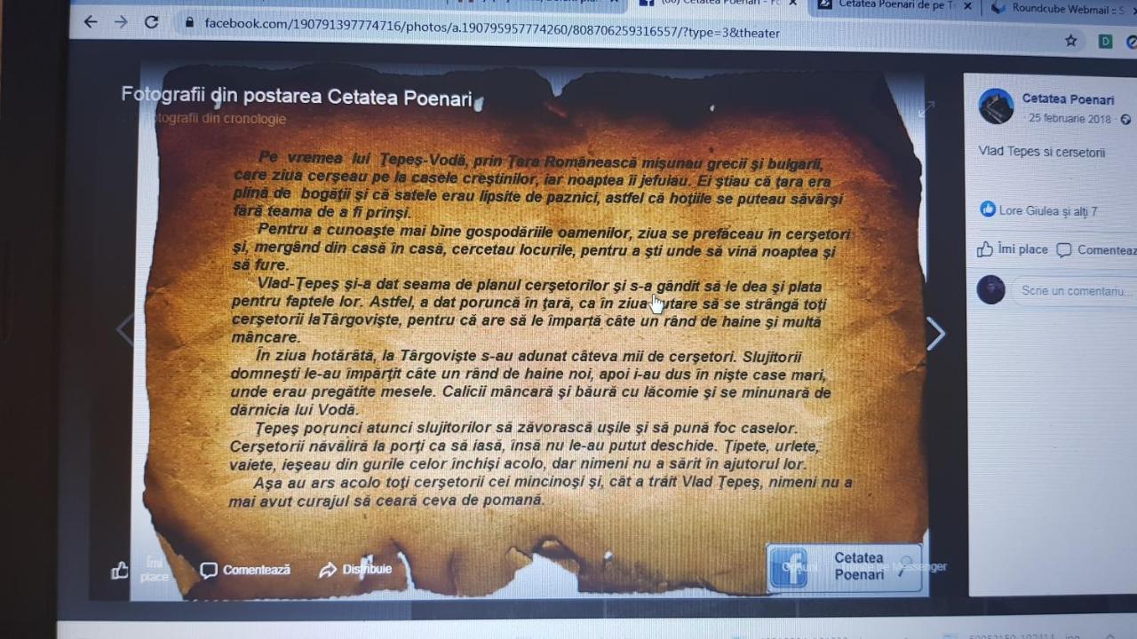 Cabanute Si Camping Dracula Capatineni-Paminteni Εξωτερικό φωτογραφία