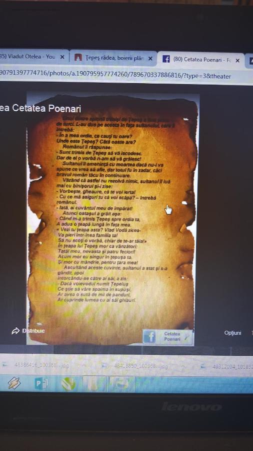 Cabanute Si Camping Dracula Capatineni-Paminteni Εξωτερικό φωτογραφία