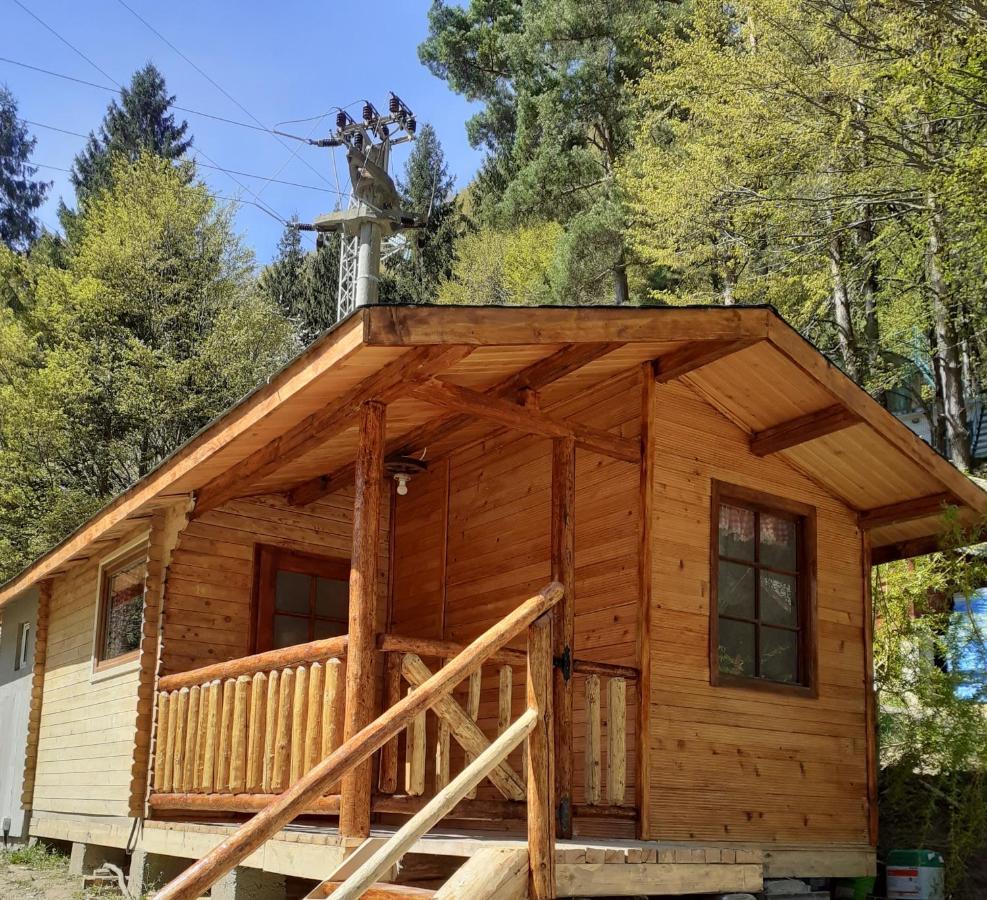 Cabanute Si Camping Dracula Capatineni-Paminteni Εξωτερικό φωτογραφία
