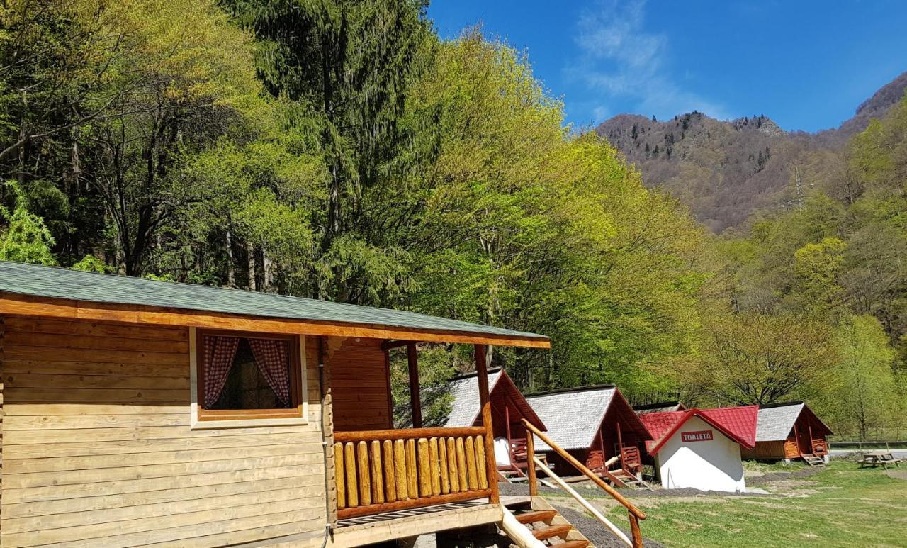 Cabanute Si Camping Dracula Capatineni-Paminteni Εξωτερικό φωτογραφία